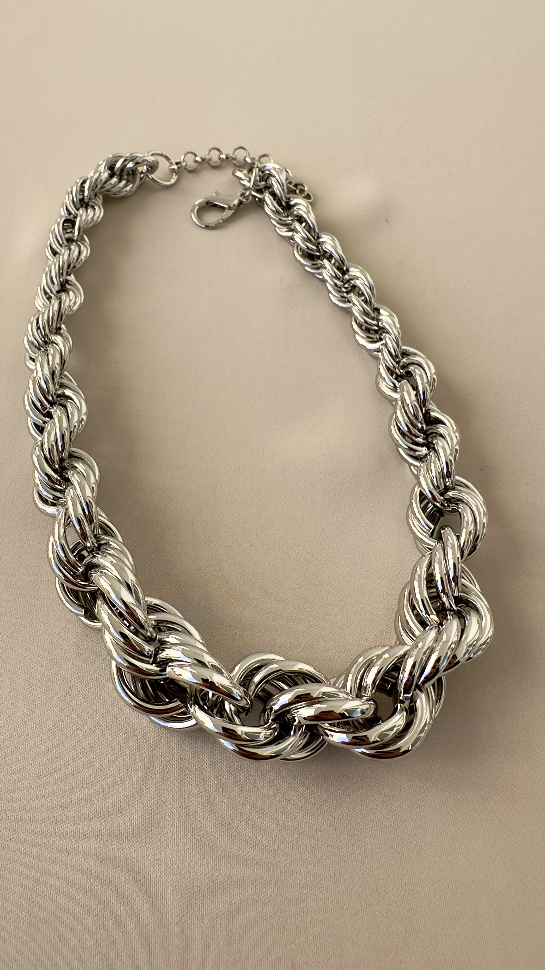 Kalın Burgu Silver Kolye